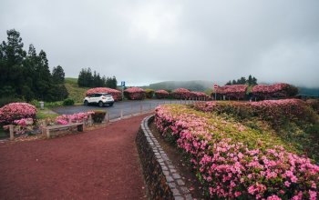 Sao Miguel podruhé