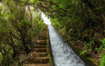Autentická Madeira Zahraničí