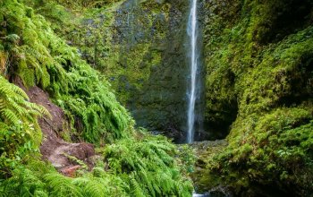 Autentická Madeira Zahraničí