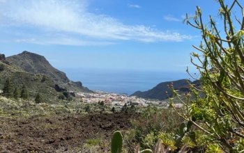 Learn english & surf Tenerife Zahraničí