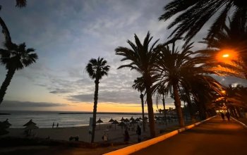 Learn english & surf Tenerife Zahraničí