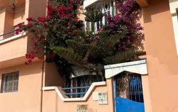 Maroko - Learn English & Surf Zahraničí