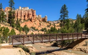 USA NÁRODNÍ PARKY Zahraničí