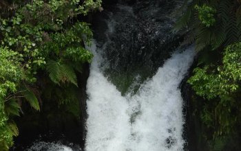 Nový Zéland - Severní ostrov, low cost & dobrodružně