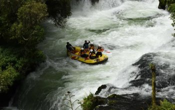 Nový Zéland - Severní ostrov, low cost & dobrodružně