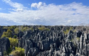 Příroda a lidé Madagaskaru