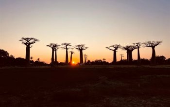 Příroda a lidé Madagaskaru