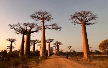 Příroda a lidé Madagaskaru