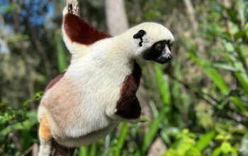 Příroda a lidé Madagaskaru