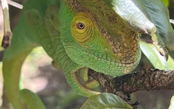 Příroda a lidé Madagaskaru