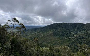 Příroda a lidé Madagaskaru