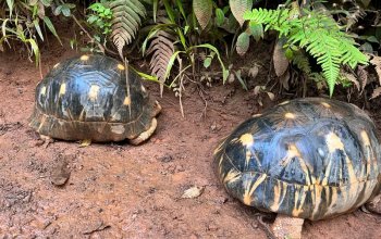 Příroda a lidé Madagaskaru