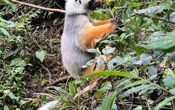 Příroda a lidé Madagaskaru