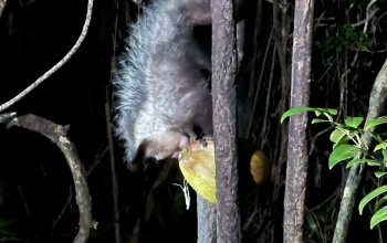 Příroda a lidé Madagaskaru