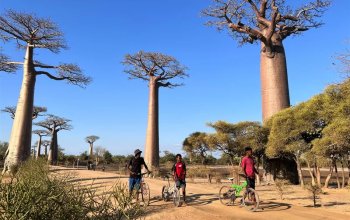 Příroda a lidé Madagaskaru