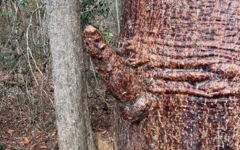 Příroda a lidé Madagaskaru