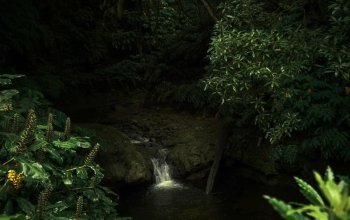 Azory - Sao Miguel