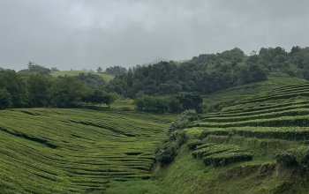 Azory - Sao Miguel