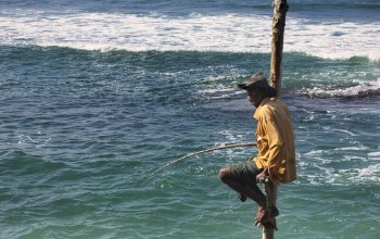 Srí Lanka (skoro) na vlastní pěst Zahraničí