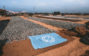 11denní okruh Srí Lankou Zahraničí