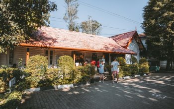 11denní okruh Srí Lankou Zahraničí