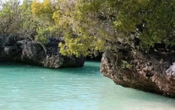 Pojeď s námi na Zanzibar ! Rehabilitačně – relaxační pobyt