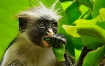 Pojeď s námi na Zanzibar ! Rehabilitačně – relaxační pobyt