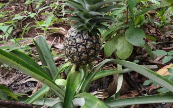 Pojeď s námi na Zanzibar ! Rehabilitačně – relaxační pobyt