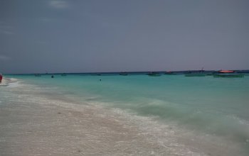 Pojeď s námi na Zanzibar ! Rehabilitačně – relaxační pobyt
