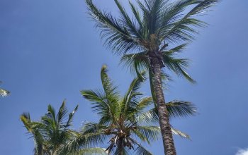 Pojeď s námi na Zanzibar ! Rehabilitačně – relaxační pobyt