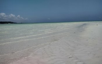 Pojeď s námi na Zanzibar ! Rehabilitačně – relaxační pobyt