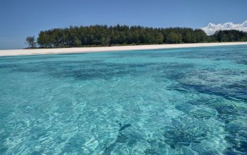 Pojeď s námi na Zanzibar ! Rehabilitačně – relaxační pobyt