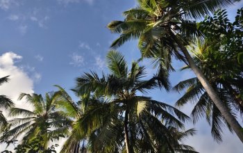 Pojeď s námi na Zanzibar ! Rehabilitačně – relaxační pobyt
