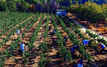 Almería Roadtrip s turistikou