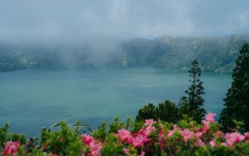 Azory, velryby a Lisabon