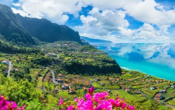 Madeira & low cost