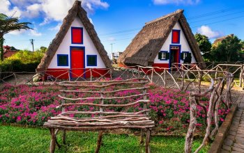 Madeira & low cost