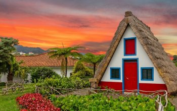 Madeira & low cost