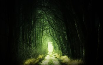 Venkovní úniková hra: Zakletá stezka
