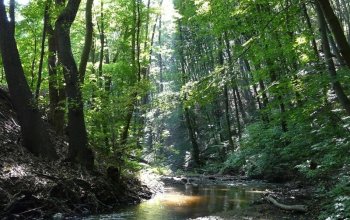 Venkovní úniková hra v Bratislavě: Pomoc planetě Alia Zahraničí