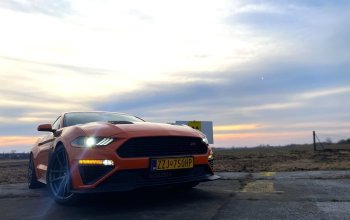 Jízda ve Ford Mustang Roush Stage 3 + sprint na letišti Zahraničí