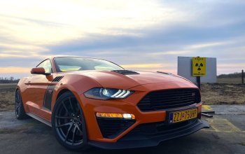 Jízda ve Ford Mustang Roush Stage 3 + sprint na letišti Zahraničí
