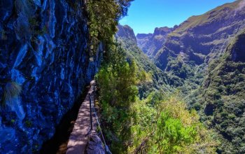 Autentická Madeira