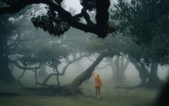 Madeira křížem krážem
