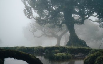 Madeira křížem krážem