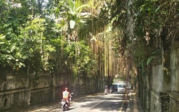Bali ve stylu