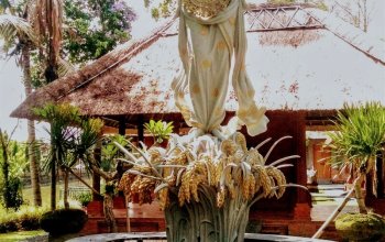 Po čem ženy touží aneb Dámská jízda na Bali