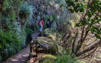 Autentická Madeira