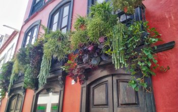 Autentická La Palma