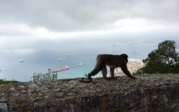 Gibraltar - Španělsko